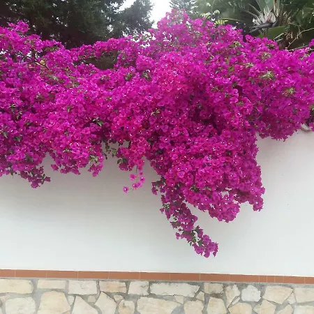 Panzió La Casa Del Nonno 3*