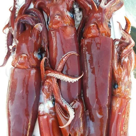 La Casa Del Nonno Panzió 3*