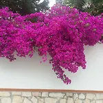לינה וארוחת בוקר La Casa Del Nonno 3*