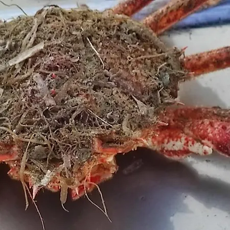 La Casa Del Nonno 3* Milazzo